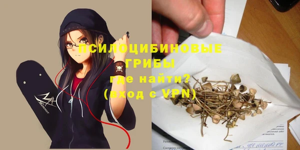 спайс Алзамай