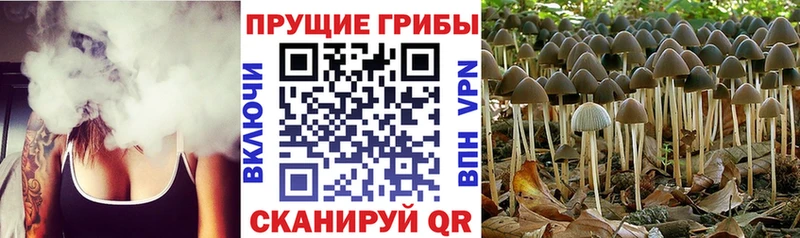 Псилоцибиновые грибы ЛСД  ссылка на мегу ссылка  Новоуральск 