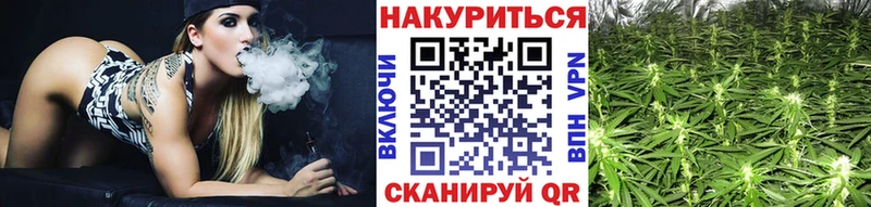 наркотики  Новоуральск  Канабис тримм 